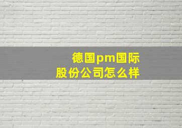 德国pm国际股份公司怎么样