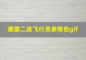 德国二战飞行员表情包gif