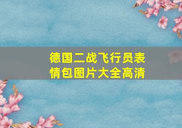 德国二战飞行员表情包图片大全高清