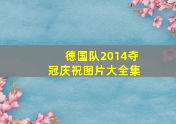 德国队2014夺冠庆祝图片大全集