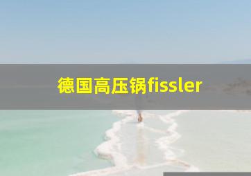 德国高压锅fissler