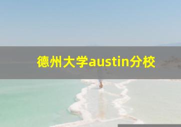 德州大学austin分校