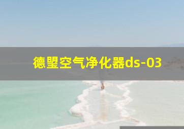 德琞空气净化器ds-03