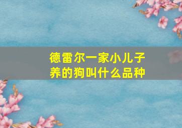 德雷尔一家小儿子养的狗叫什么品种