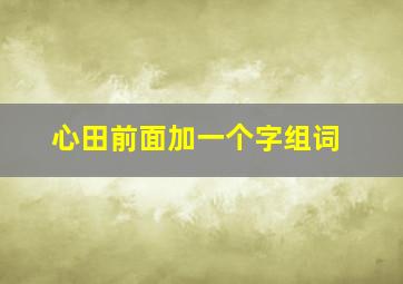 心田前面加一个字组词