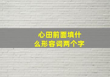 心田前面填什么形容词两个字