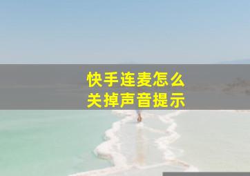 快手连麦怎么关掉声音提示