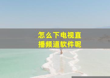 怎么下电视直播频道软件呢