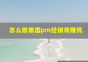 怎么做德国pm经销商赚钱