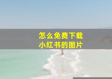 怎么免费下载小红书的图片