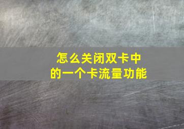 怎么关闭双卡中的一个卡流量功能