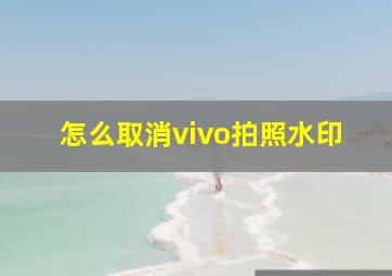 怎么取消vivo拍照水印