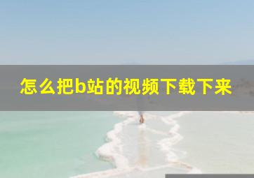 怎么把b站的视频下载下来