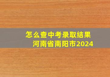 怎么查中考录取结果河南省南阳市2024