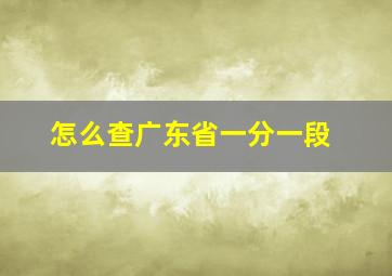 怎么查广东省一分一段