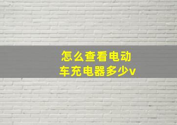 怎么查看电动车充电器多少v