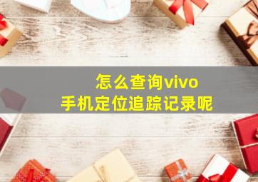 怎么查询vivo手机定位追踪记录呢