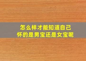 怎么样才能知道自己怀的是男宝还是女宝呢