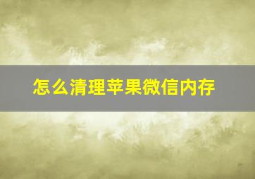 怎么清理苹果微信内存