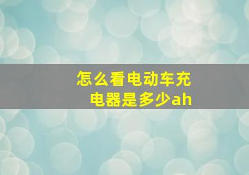 怎么看电动车充电器是多少ah