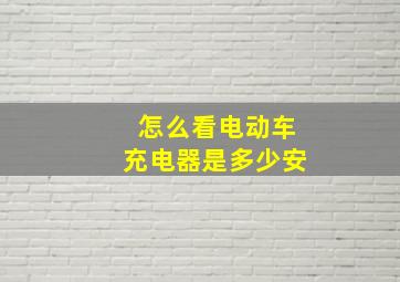 怎么看电动车充电器是多少安