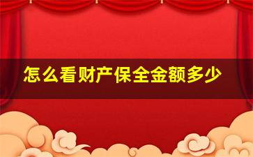 怎么看财产保全金额多少