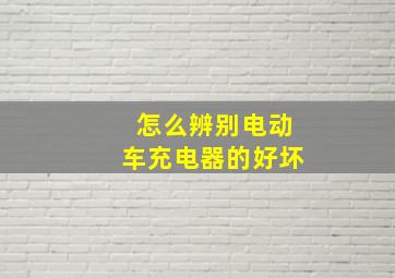 怎么辨别电动车充电器的好坏