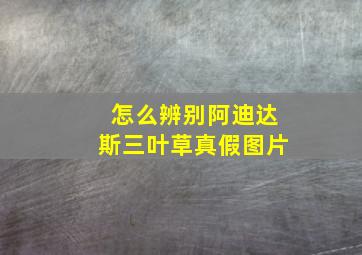 怎么辨别阿迪达斯三叶草真假图片