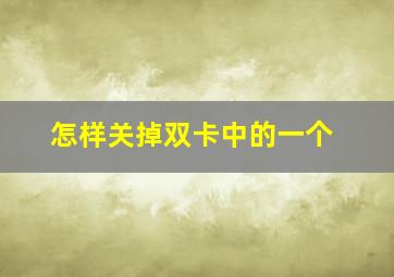 怎样关掉双卡中的一个