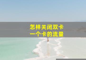 怎样关闭双卡一个卡的流量