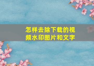 怎样去除下载的视频水印图片和文字