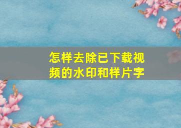 怎样去除已下载视频的水印和样片字