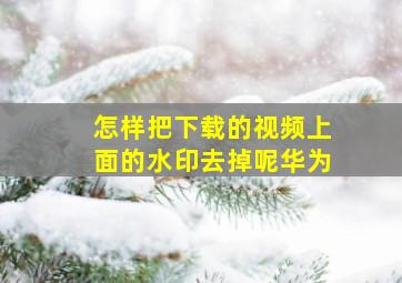 怎样把下载的视频上面的水印去掉呢华为