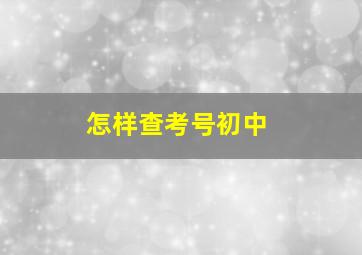 怎样查考号初中