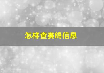 怎样查赛鸽信息