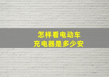 怎样看电动车充电器是多少安