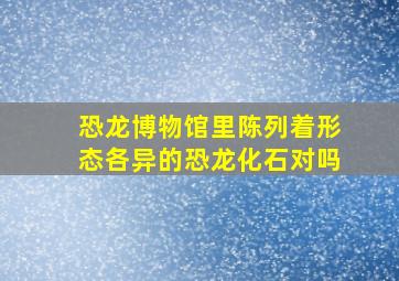 恐龙博物馆里陈列着形态各异的恐龙化石对吗