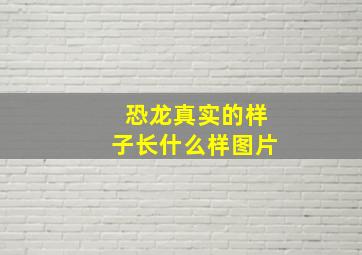 恐龙真实的样子长什么样图片