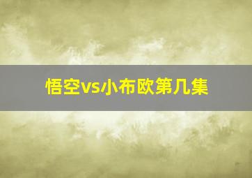 悟空vs小布欧第几集