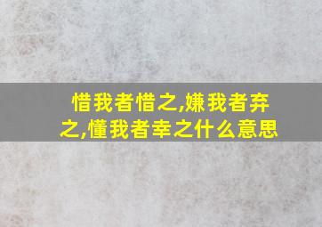 惜我者惜之,嫌我者弃之,懂我者幸之什么意思