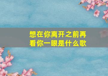 想在你离开之前再看你一眼是什么歌