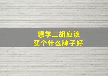 想学二胡应该买个什么牌子好