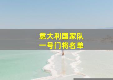 意大利国家队一号门将名单