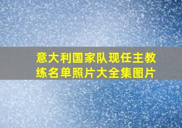 意大利国家队现任主教练名单照片大全集图片