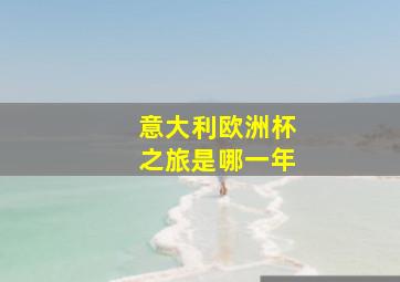 意大利欧洲杯之旅是哪一年