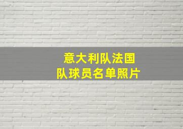 意大利队法国队球员名单照片