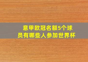 意甲欧冠名额5个球员有哪些人参加世界杯