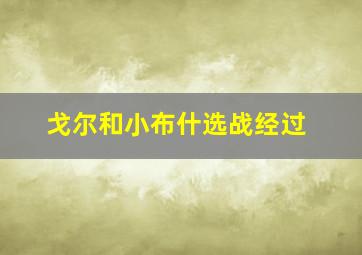 戈尔和小布什选战经过