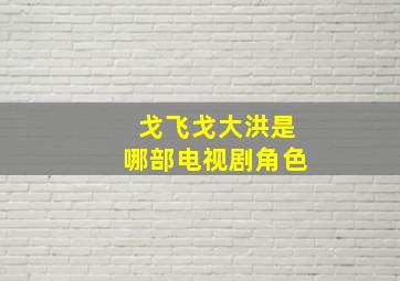 戈飞戈大洪是哪部电视剧角色