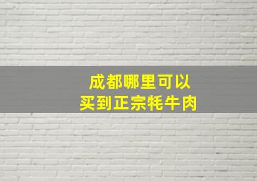 成都哪里可以买到正宗牦牛肉